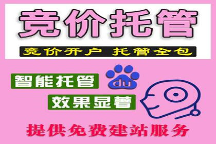 竞价排名成功案例：如何提升品牌知名度